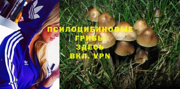 бошки Волосово