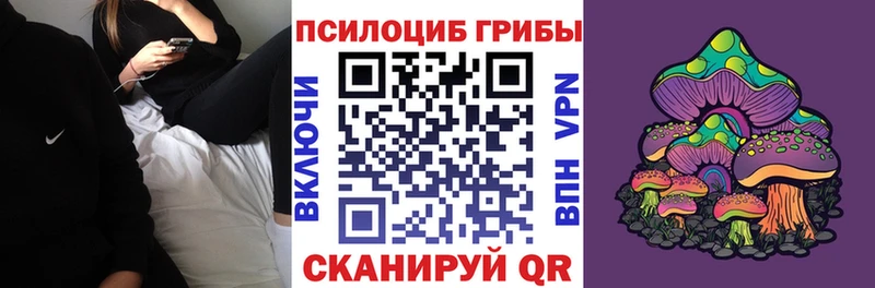 площадка официальный сайт  гидра онион  Волхов  купить наркотики цена  Галлюциногенные грибы Psilocybe 