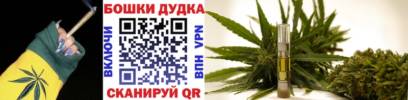Бошки Шишки марихуана Волхов
